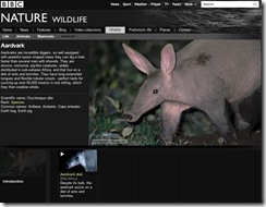 BBC Nature - Aardvark videos, news and facts